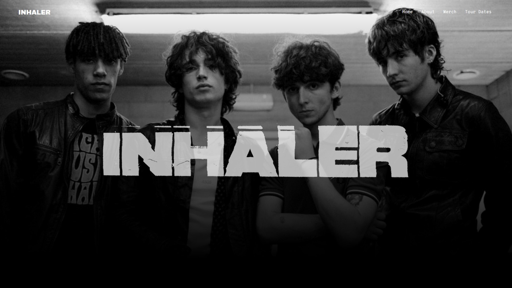 Inhaler Website Preview